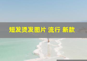 短发烫发图片 流行 新款